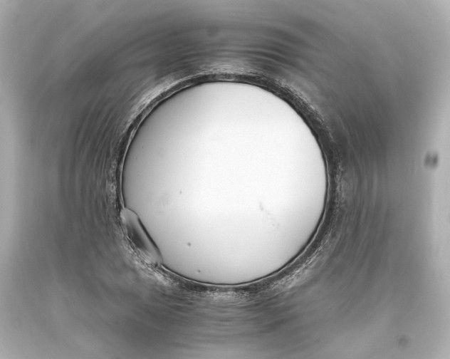 X0000093571025200711051053