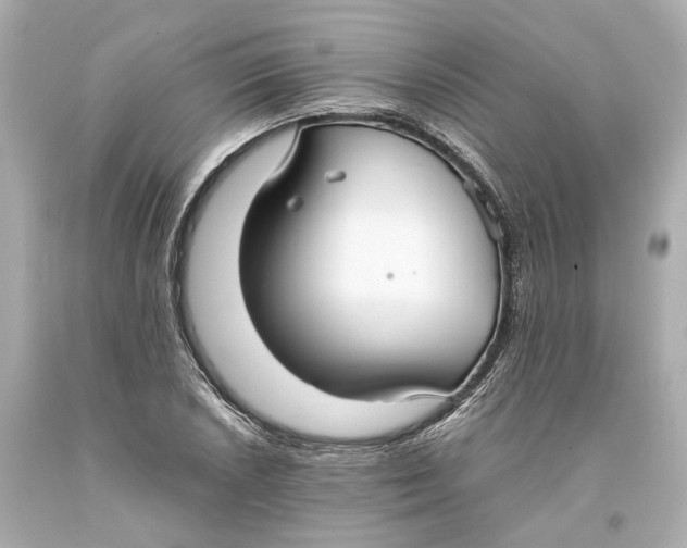 X0000093571026200711051053