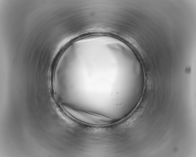 X0000093571030200711051053