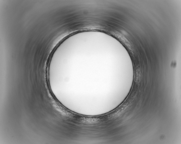 X0000093571039200711051053