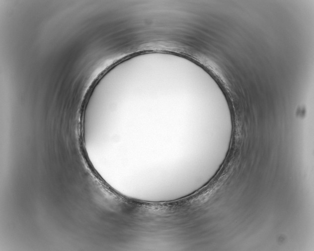 X0000093571040200711051053