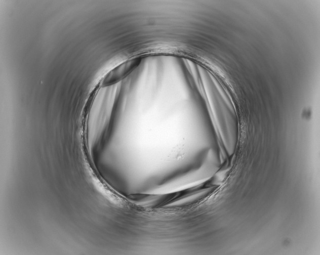 X0000093571042200711051053