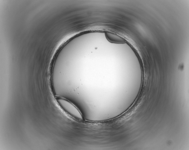 X0000093571045200711051053