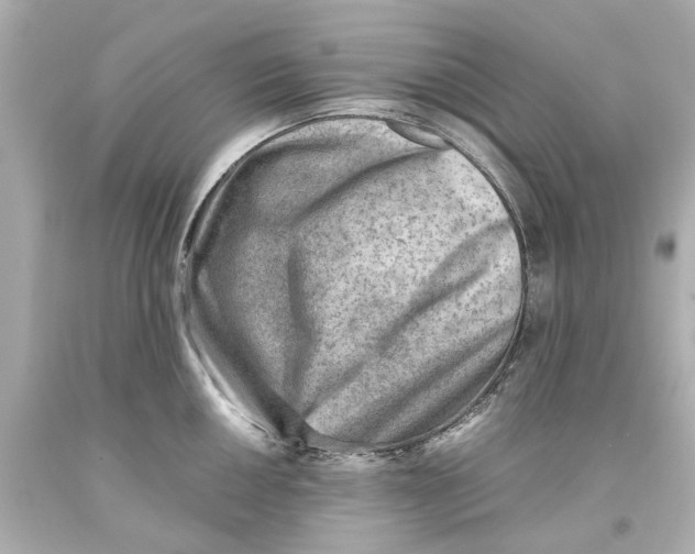 X0000093571050200711051053