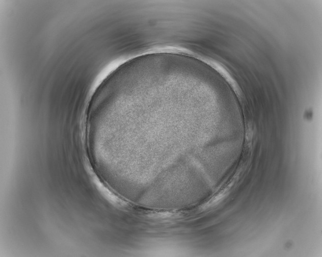X0000093571054200711051053