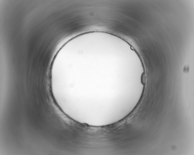X0000093571056200711051053