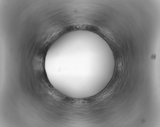 X0000093571060200711051053