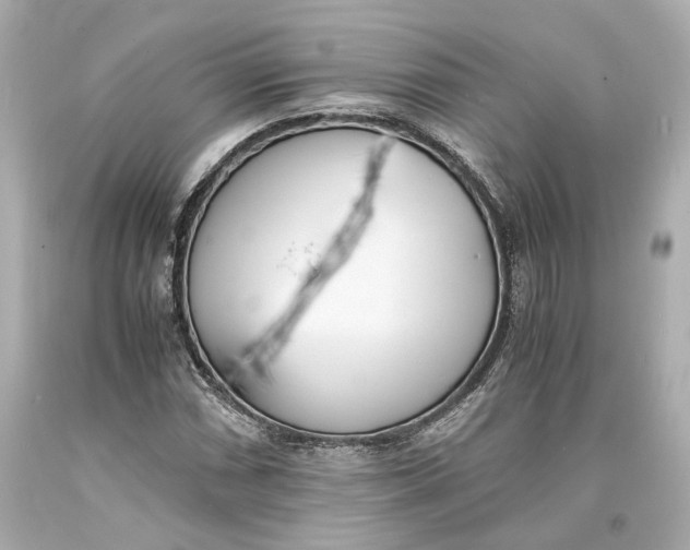 X0000093571066200711051052