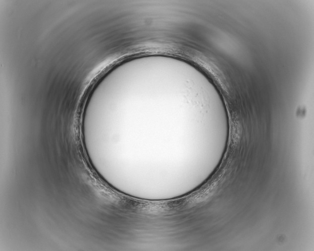 X0000093571074200711051052