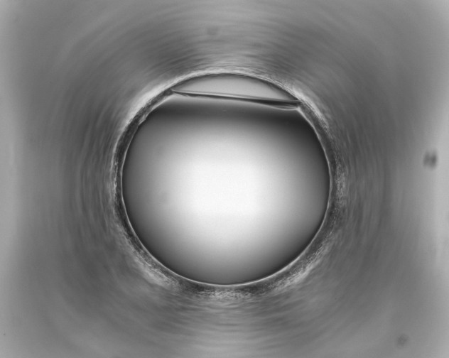 X0000093571077200711051052