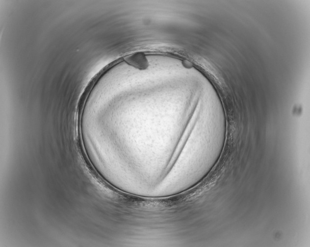 X0000093571079200711051052