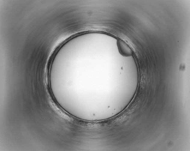 X0000093571080200711051052