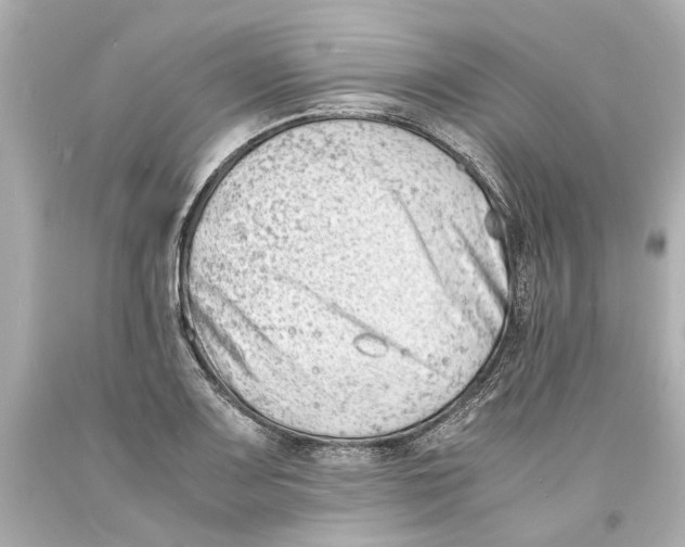 X0000093571083200711051052