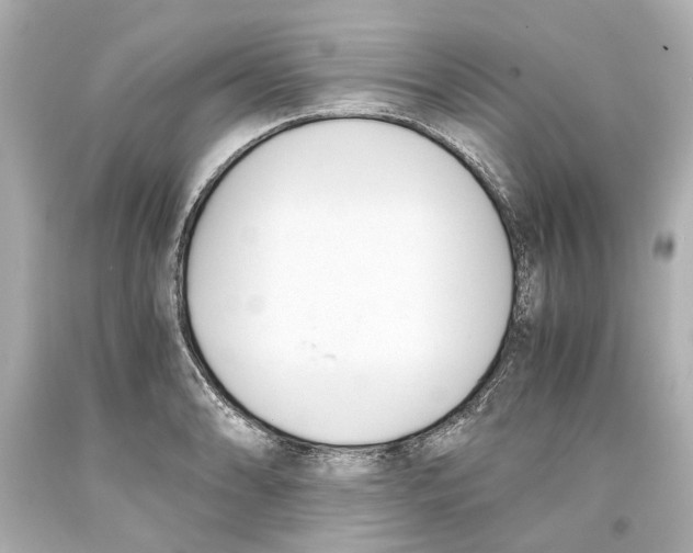 X0000093571086200711051052