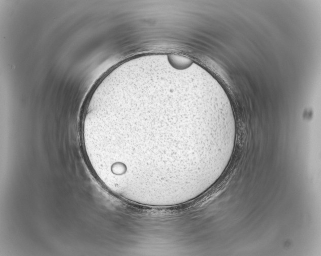 X0000093571087200711051052