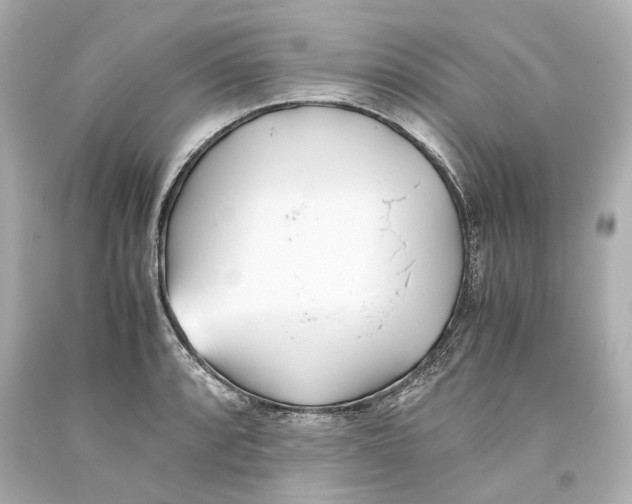 X0000093571088200711051052