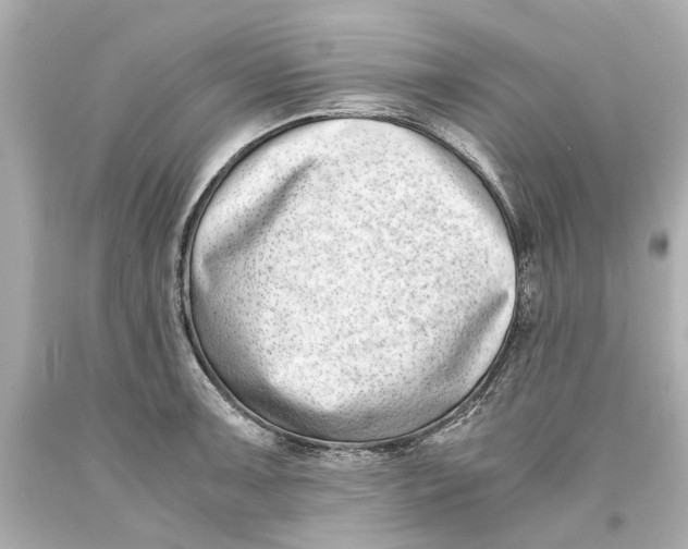 X0000093571091200711051052