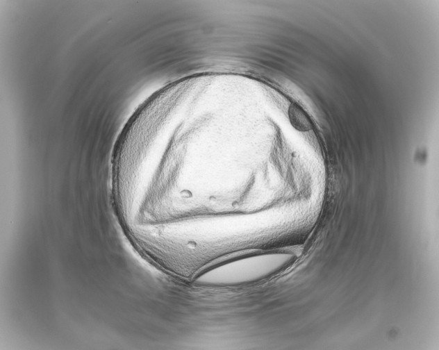 X0000093571095200711051052