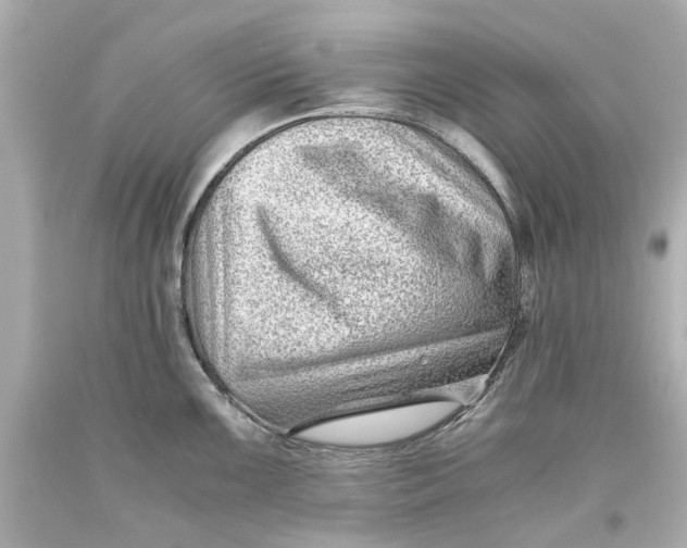X0000093571099200711051052