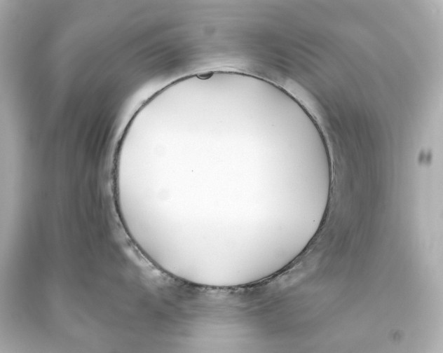 X0000093571104200711051052