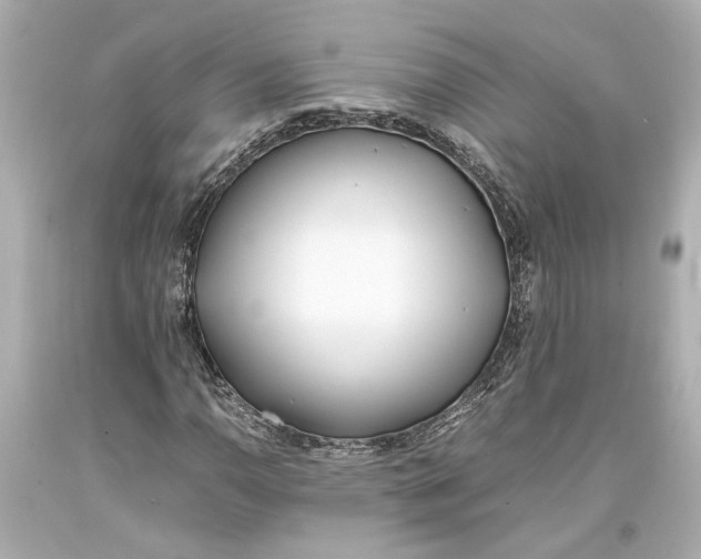 X0000093571110200711051051