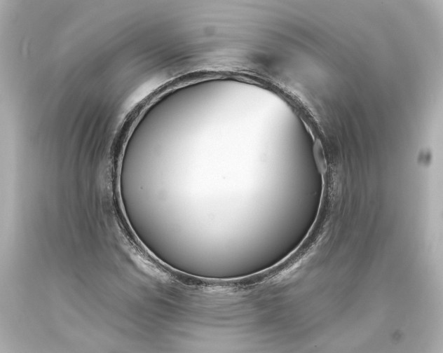 X0000093571114200711051052