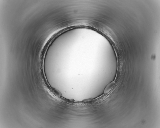 X0000093571116200711051052