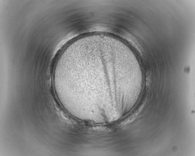 X0000093571117200711051052