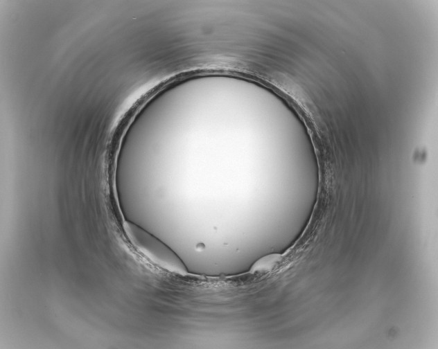 X0000093571120200711051052