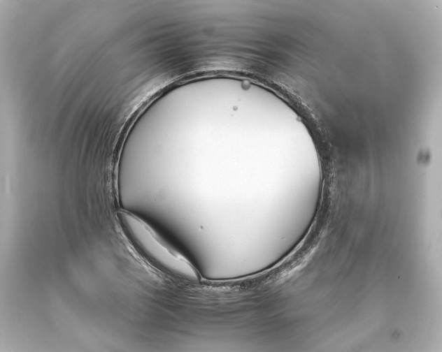 X0000093571121200711051052