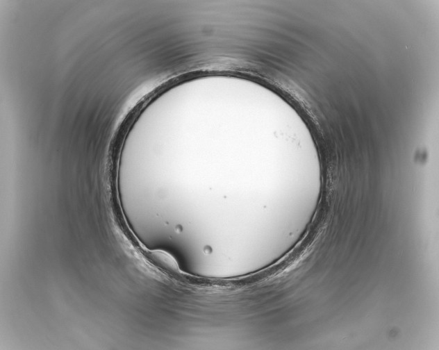 X0000093571122200711051052