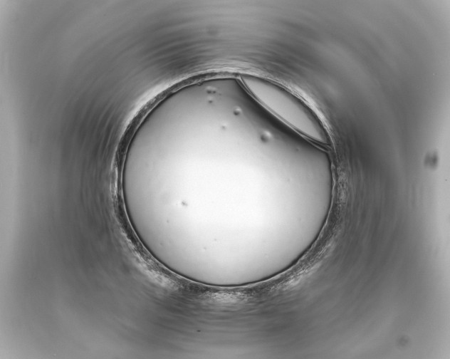 X0000093571125200711051052