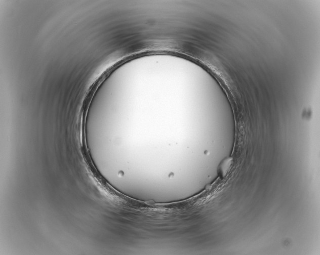 X0000093571127200711051052