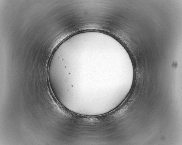 X0000093571129200711051052