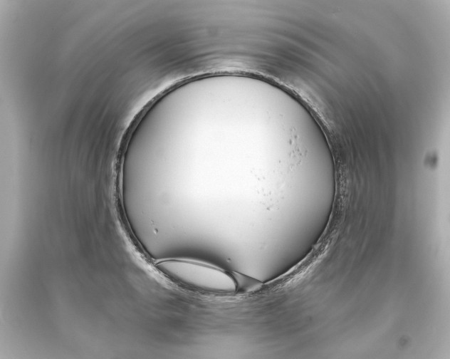 X0000093571134200711051052