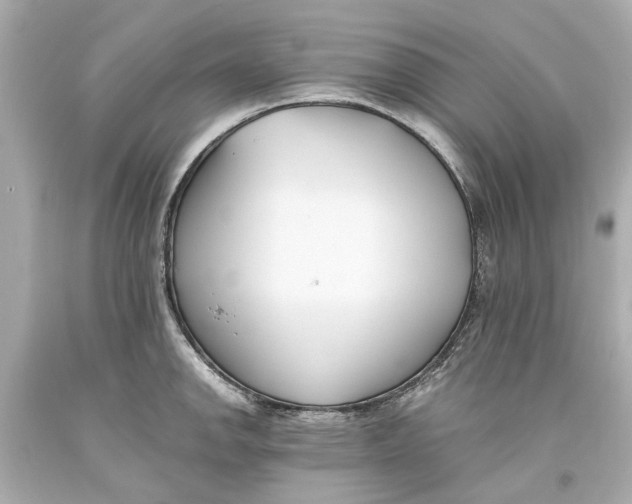 X0000093571142200711051052