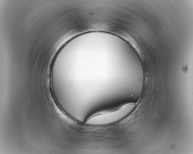 X0000093571143200711051052