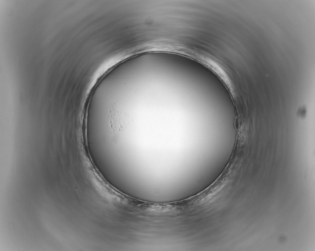 X0000093571146200711051052