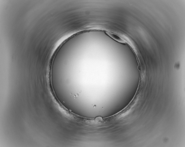 X0000093571149200711051052