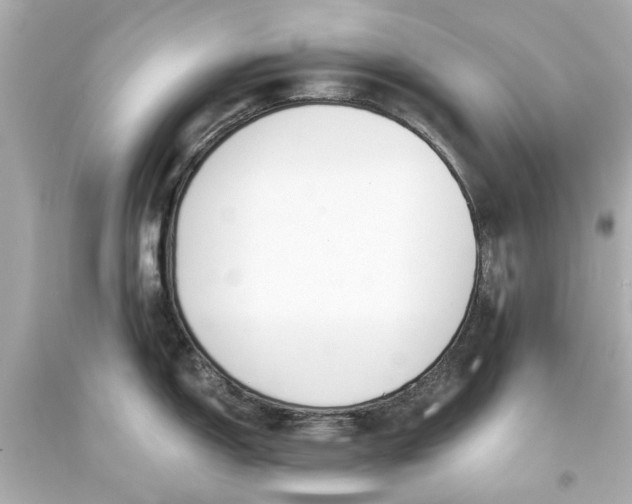 X0000093571150200711051052