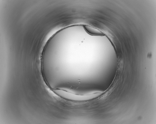 X0000093571151200711051052
