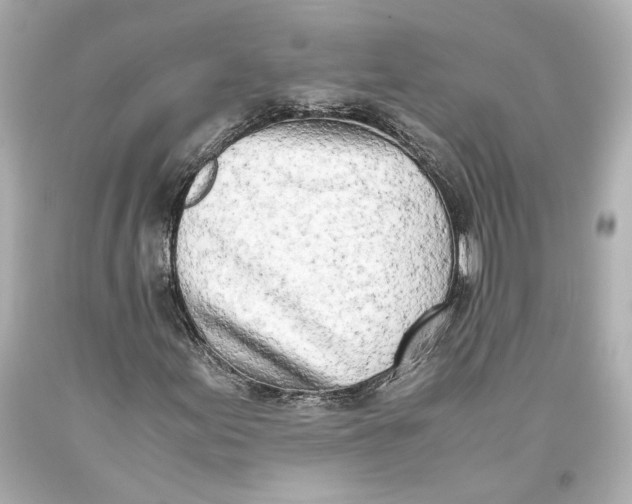 X0000093571155200711051051
