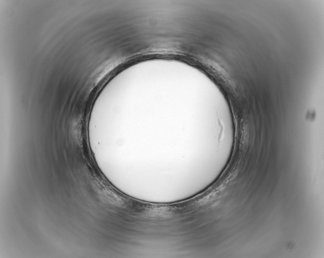 X0000093571162200711051051