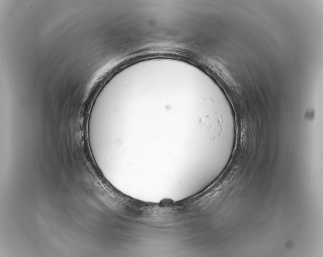 X0000093571164200711051051