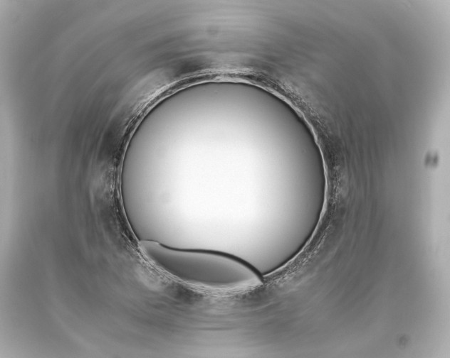 X0000093571169200711051051