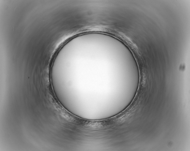 X0000093571174200711051051
