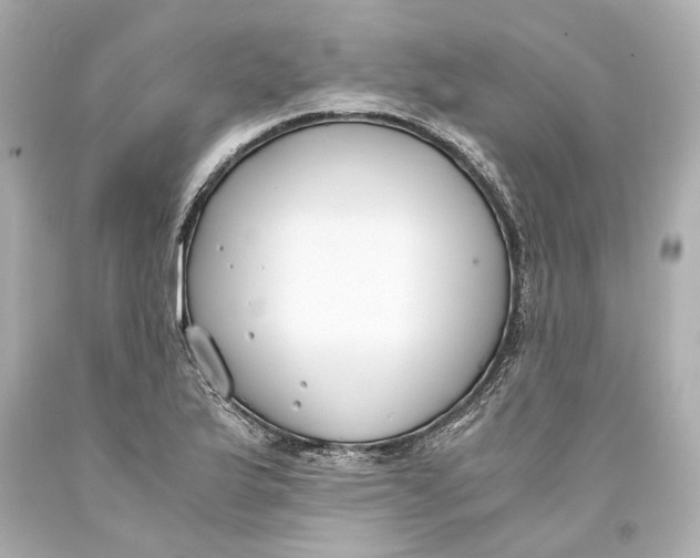 X0000093571175200711051051