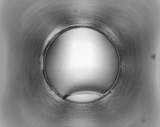 X0000093571180200711051051