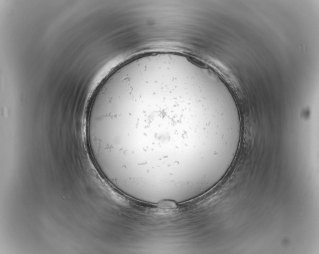 X0000093571188200711051051