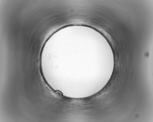 X0000093571191200711051051